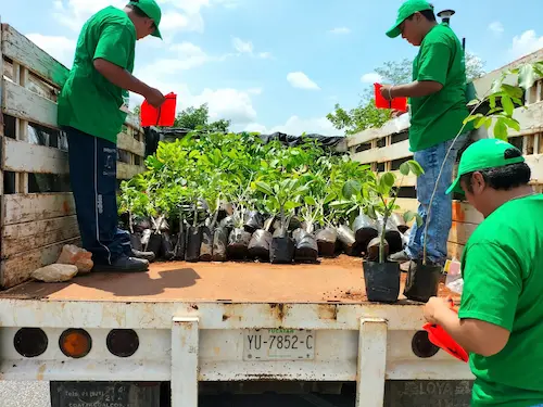 Invitacion Mexico Primero